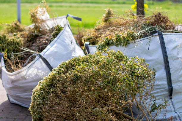 Best Construction Debris Removal  in Lincoln, NE